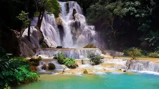 KUANG SI FALLS LUANG PRABANG, LAOS SECRET POOLS!?