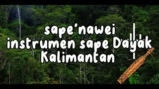 INTRUMENT SAPE'DAYAK KALIiMANTAN