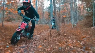 MINI SUPERMOTOS IN THE WOODS! | Vlog 57