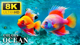 The Best 4K Aquarium - The Colors of the Ocean, The Sound Of Nature #52