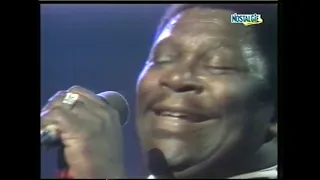 BB King   1980   Montreal Jazz Festival