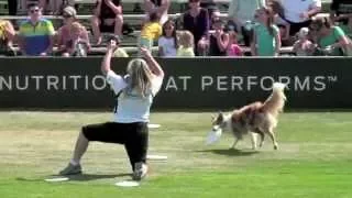 2015 Western Regionals in Huntington Beach, CA -  The Purina® Pro Plan® Incredible Dog Challenge®