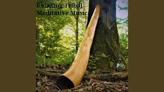 Tribal Drummed Didgeridoo (Ethnic Style)