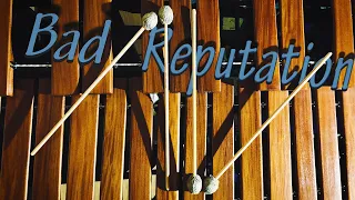 Avicii feat. Joe Janaik - Bad Reputation (Marimba cover)