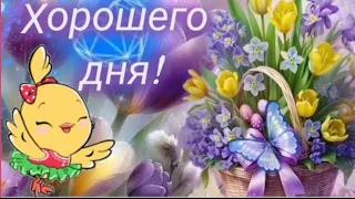 Здравствуй, новый день! 🌸☀️🦋 #музыкальныйприветик #МУЗЫКАЛЬНАЯОТКРЫТКА