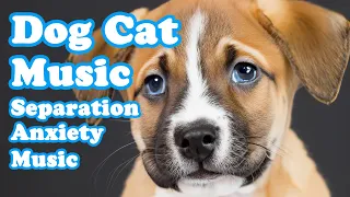 3 Hours of Relaxing Music for Dogs - Piano Music to Calm Dogs, Dog Music, Sleep Music