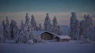 Blizzard Sounds in the Wooden Cabin. Snowstorm and Howling Winds. Black Screen. 10 Hours for Sleep.