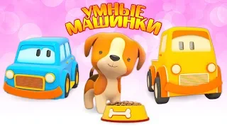 Развивающие мультики для малышей. Умные машинки и щенок!