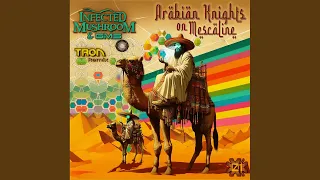 Arabian Knights on Mescaline (Tron Remix)