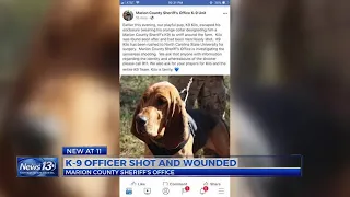 S.C. Sheriff's Office K-9 rushed to NCSU for surgery after being shot