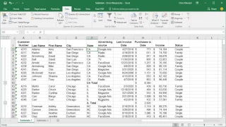 Using Subtotal in Excel #1 by Chris Menard