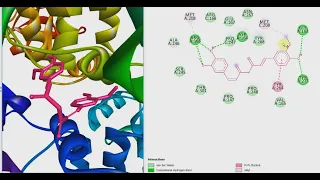 Molecular docking and MD simulation of Protein-ligand complex using NAMD and CHARMM-GUI server