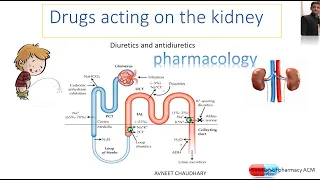 Diuretics and antidiuretics || classification || pharmacology || made easy