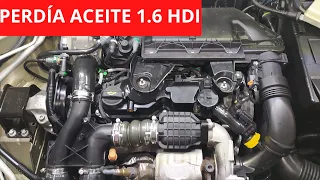 1.6 Hdi Oil Leak, How To Fix it. Peugeot, Citroen, PSA Group engine. Fomoco.