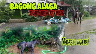 BAGONG ALAGA | MAGKANO ANG PRESYO | part_01