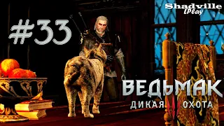 Оксенфурт — The Witcher 3: Wild Hunt Прохождение игры #33