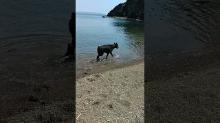 Находка БОРМАН ПРИРОДА и Японское Море!!🌊🌊🌞🌞🥰🥰♥️♥️♥️👍👍🌿🪻🤗🤗🌊🌊♥️♥️♥️♥️♥️