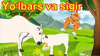 Yo'lbars va sigir | multfilm | O'zbek multfilmlari | O'zbek ertaklari | Uzbek Axloqiy Hikoyalari