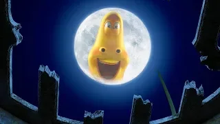 LARVA - FULL MOON | Cartoon Movie | Cartoons | Comics | Larva Cartoon | LARVA Official