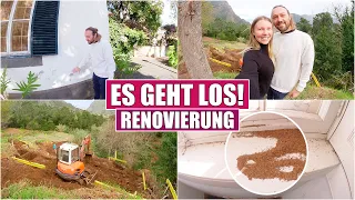 Quinta gefährdet! ⛔️ Holzwurm! Hausbau startet | Isabeau