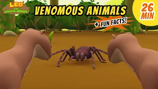 Venomous Animals - Goliath Birdeater Spider and more animal stories!