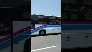 Parveen Travels Snooze Bus Elite