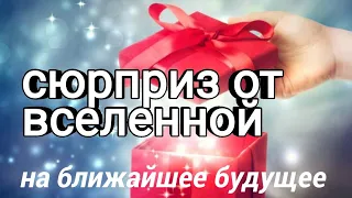 СЮРПРИЗ ОТ ВСЕЛЕННОЙ НА БЛИЖАЙШЕЕ БУДУЩЕЕ. ГАДАНИЕ НА СУДЬБУ. Гадание на картах. ЛЕДИ ТАРО.