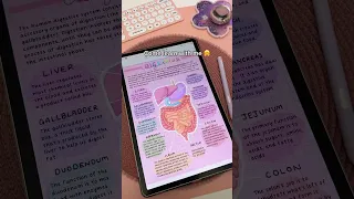 How I take aesthetic digital notes ✏️💗 Penly app | Samsung galaxy tab S9 | aesthetic notes