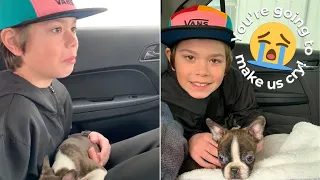 Boy Surprised With Puppy From Late Father In Pre-Planned Birthday Gift