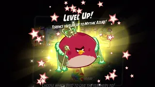 ANGRY BIRDS 2 THE ARENA STREAK 5 (AUG/16/2022)