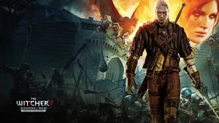 Witcher 2 Mod: Imported Items Overhaul
