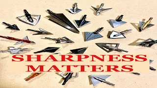 SHARPNESS MATTERS: Understanding & Perfecting Broadhead Sharpness