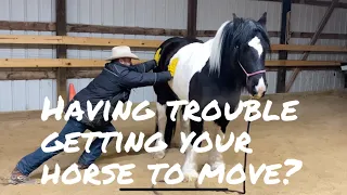 How to Build Responsiveness in a dull horse