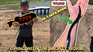 HUGE 10.5 Inch WORM Catches MONSTER Fish AT Pressured POND!  (Must Watch Until The End!)