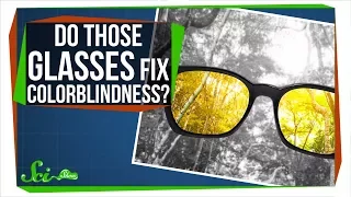 Do Those Glasses Really Fix Colorblindness?