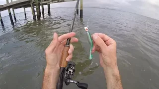 Lucky Catch - My Biggest Snook!