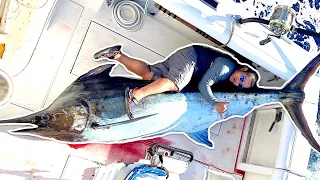 GIANT BLUE MARLIN PROCESSING | STOMACH CONTENTS | FILLET | Sport Fishing Hawaii