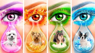 ¡Mascotas de Fuego, Agua, Aire y Tierra! Cuatro Elementos que Buscan un Avatar en la Vida Real