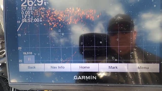 Garmin Livescope video