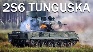 NO FLY ZONE | 2S6 Tunguska - War Thunder