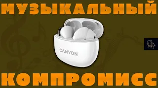 КУПИЛ CANYON TWS-5  | ЧЕСТНЫЙ ОТЗЫВ ЧЕРЕЗ 3 МЕСЯЦА