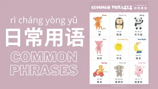 Learn Common Phrases in Mandarin Chinese for Toddlers, Kids & Beginners | 日常用语