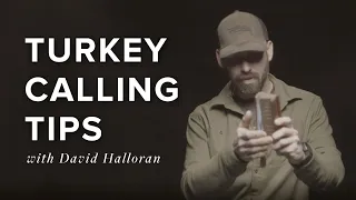 Turkey Calling Tips with David Halloran