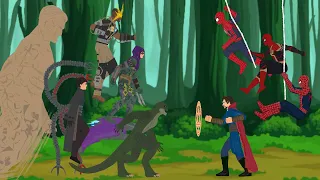 Spiderman No Way Home, Doctor Strange vs Green Goblin, Octopus, Sandman, Lizard, Electro - DC2