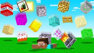 Minecraft BUT Blocks Are FALLING From The SKY! (impossible)