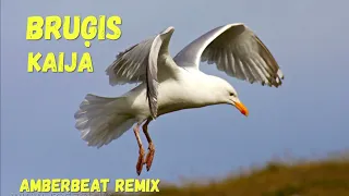 Bruģis - Kaija (AmberBeat Remix)