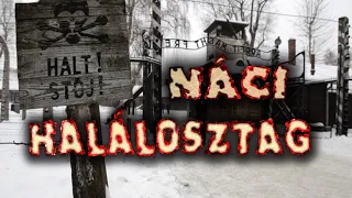 Náci halálosztagok