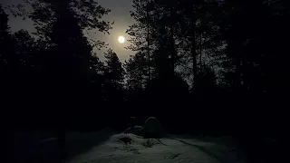 Wolf Moon session, Heart of Gold,Neil Young cover,Wolf Hill, Øvre Eiker, Norway, january 25th 2024.