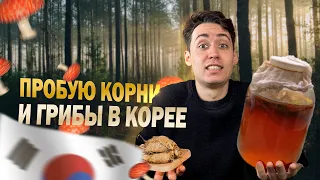 ЧТО ПЬЮТ КОРЕЙЦЫ?