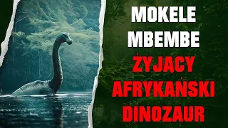 Podcast Kryptozoologiczny - Mokele-Mbembe - Czy w Afrykańskim Lesie Równikowym Żyją Dinozaury?